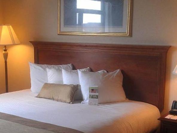 Hotel - Cool Springs By Ihg Franklin